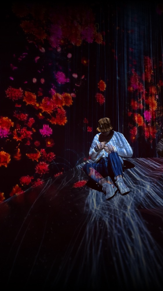 Cortex, an immersive world at Spectra Museum